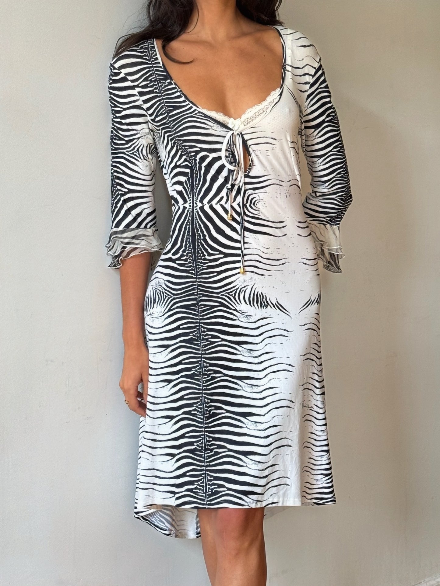 Roberto Cavalli S/S 2000 Zebra Print Dress