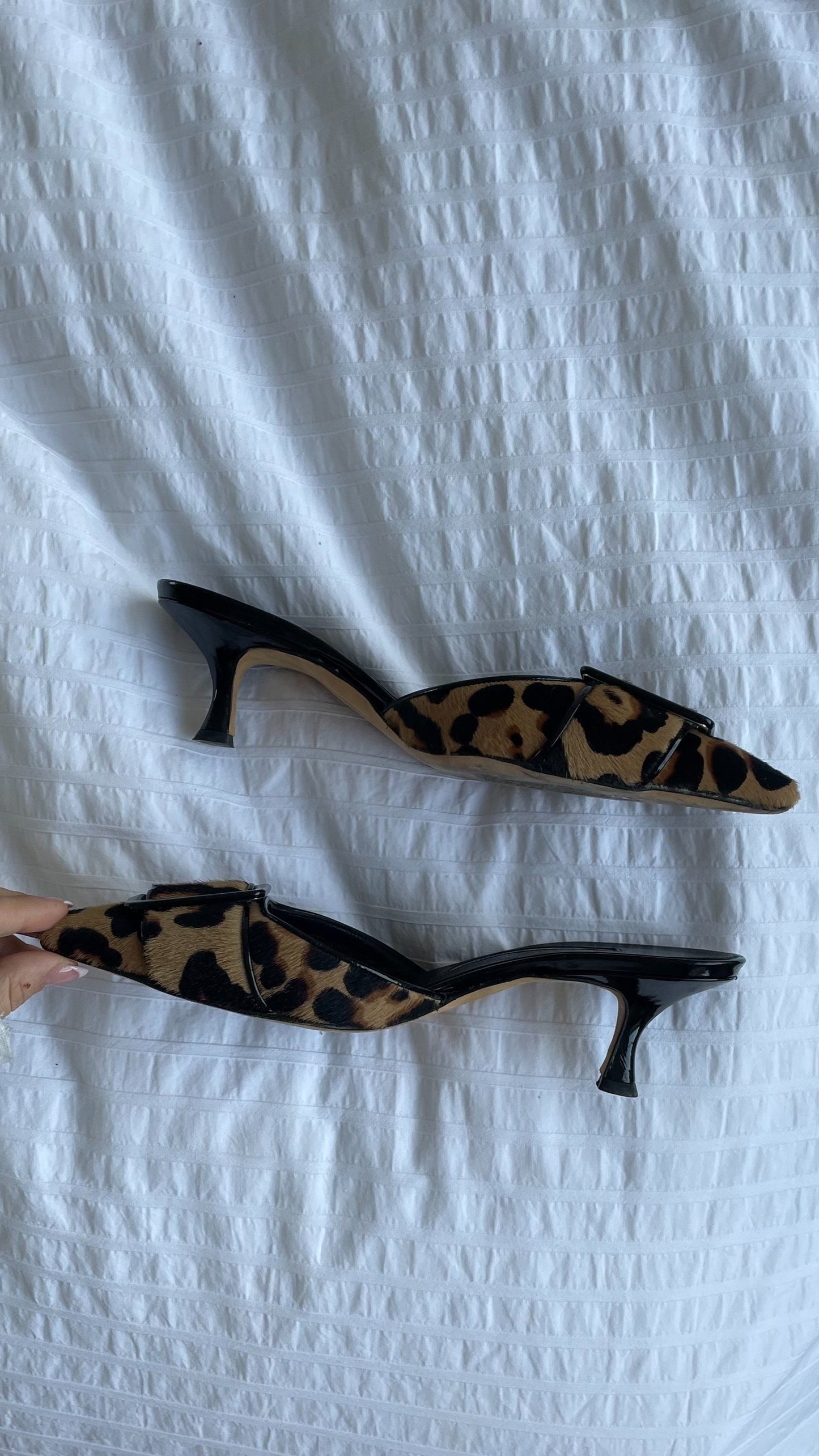 Manolo Blahnik Animal Print Buckle Mules