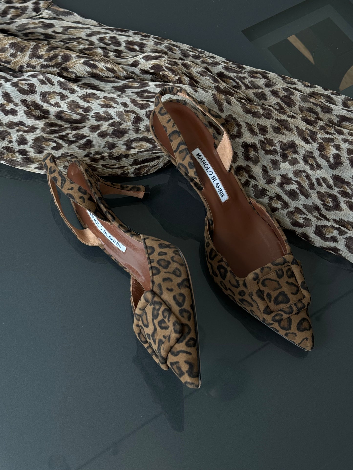 Manolo Blahnik Leopard Maysale Mules 39.5