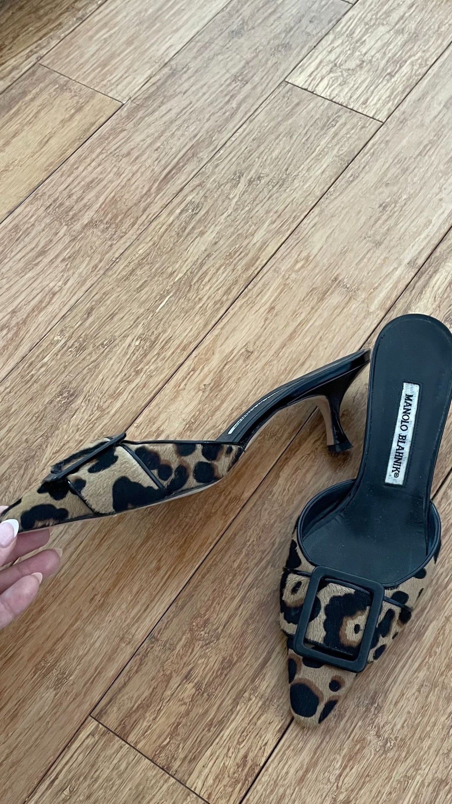 Manolo Blahnik Animal Print Buckle Mules